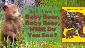 Baby Bear Baby Bear What Do You See FB